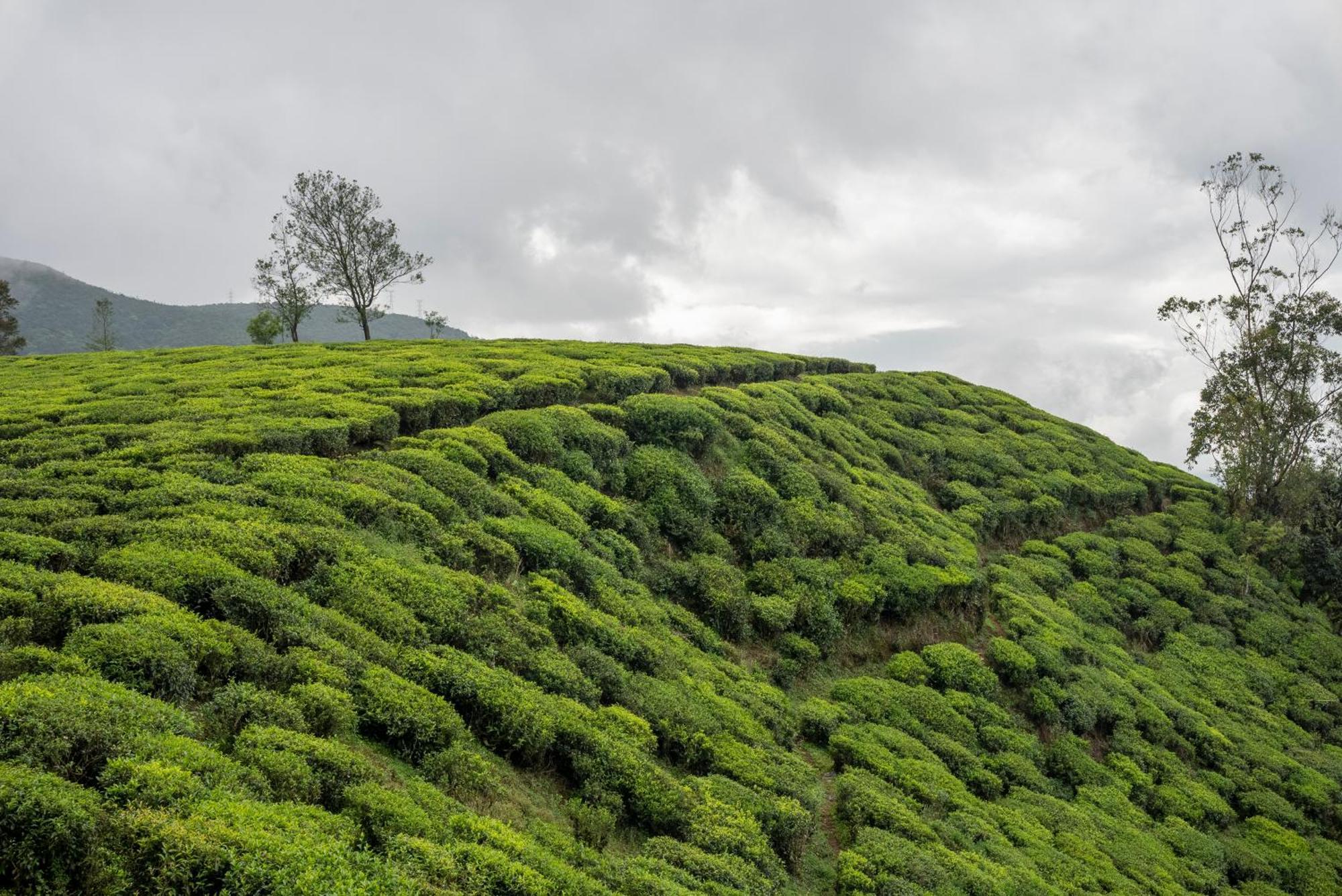 Hotel Aaradhya Nuwara Eliya Esterno foto