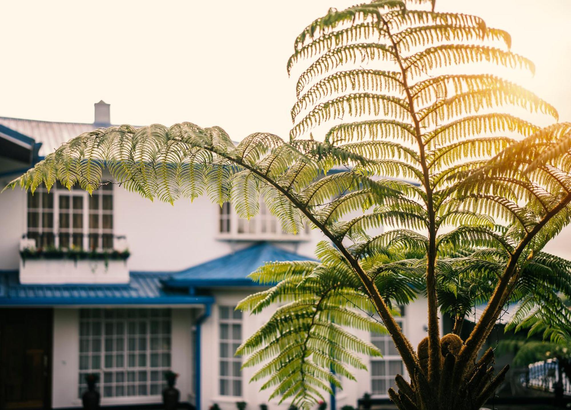 Hotel Aaradhya Nuwara Eliya Esterno foto